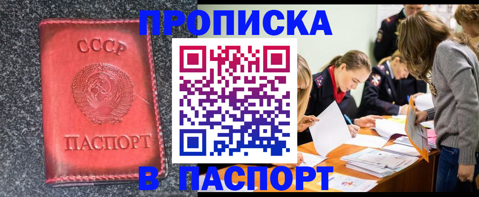 прописка для школы в Талдоме